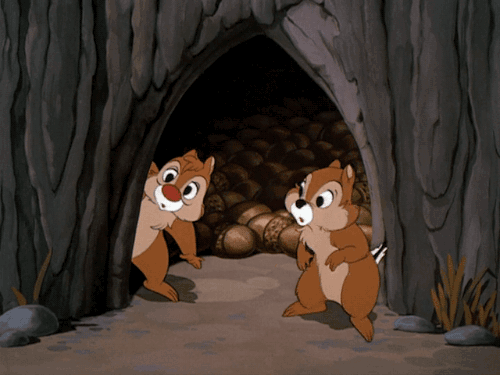 giphy%2017_zpskmk1jfjs.gif