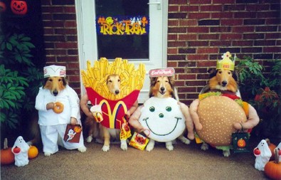 fast-food-dog-halloween-costumes.jpg
