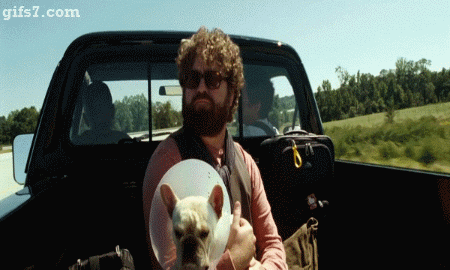 GIFS7: Due Date Driving Bump GIF