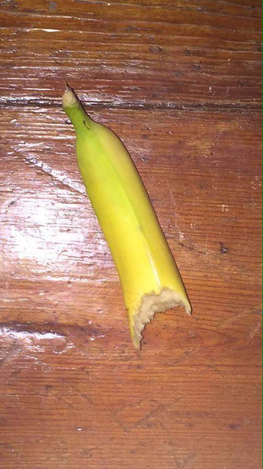 6u5RZRU.jpg
