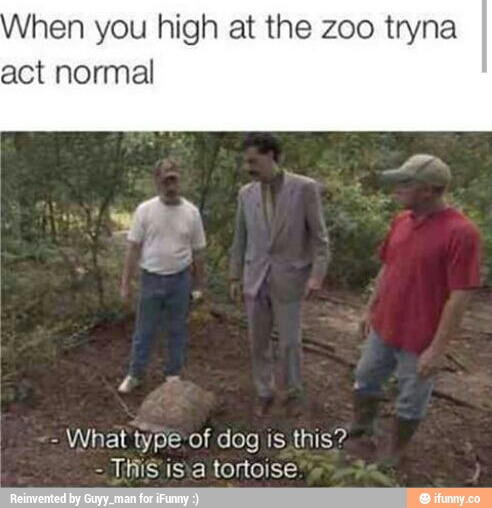 tGoRdKj.jpg
