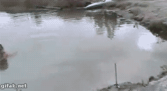 XEX6LLZ.gif