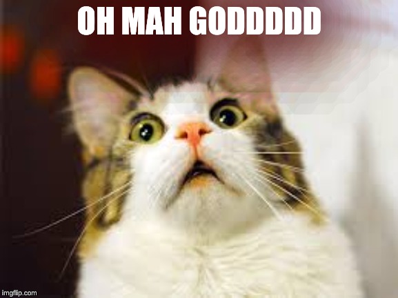 3g9h9q.jpg