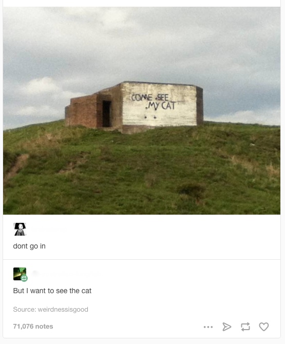 KpEryvF.jpg
