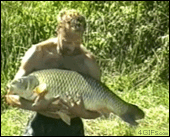 A0AVw2t.gif