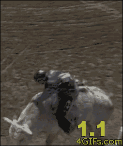 KQh1o7m.gif