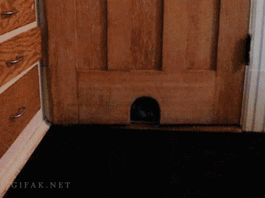 aPLPf1x.gif