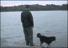WiOVMDV.gif