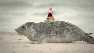 gifs_02.gif
