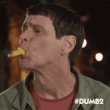 dumband-dumber-jim-carrey.gif