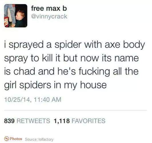 9i8WW5I.jpg