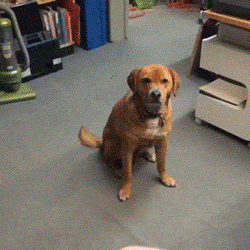 W5Bw0uu.gif