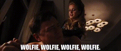 45240497-2f60-4e85-ab57-85089b730cf6_text.gif
