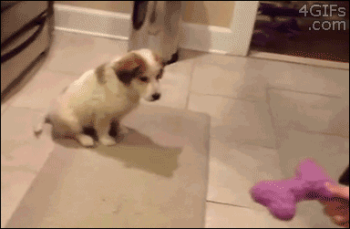 n9c5Vv9.gif