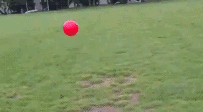 NAGJveO.gif