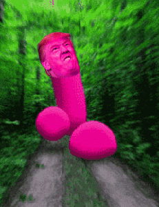 8l4AH6t.gif
