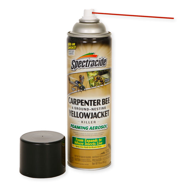 spectracide-carpenter-bee-and-yellow-jacket-foaming-aerosol300.jpg