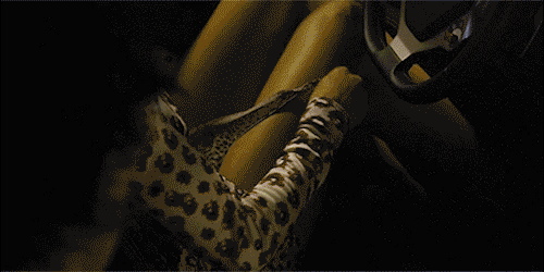 aCw9Fsq.gif