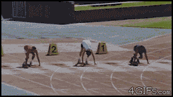 nqAEV.gif