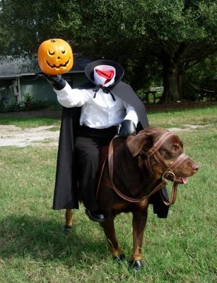 dog-halloween-costumes-2.jpg