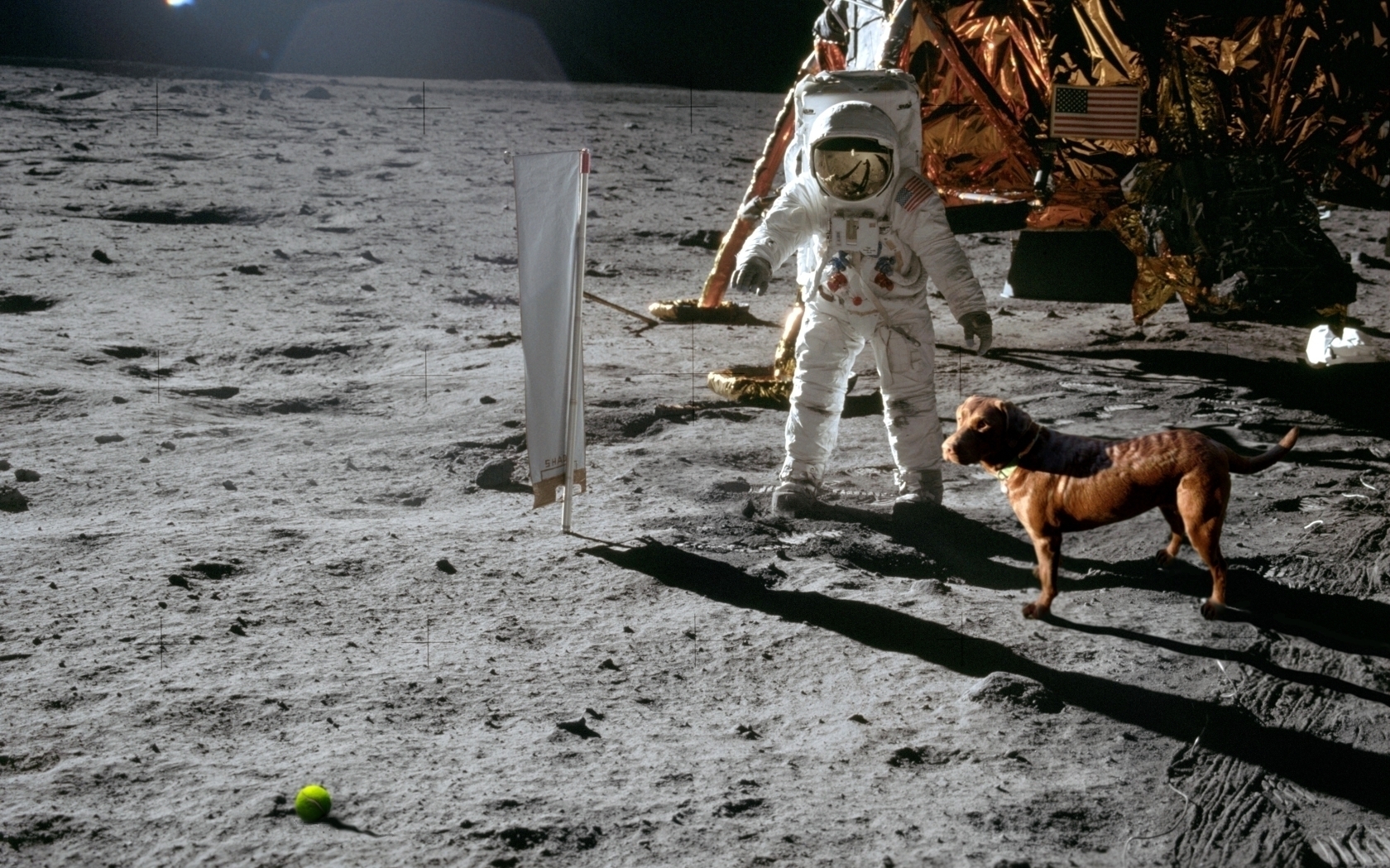 moon-landing-hoax-1680x10502.jpg