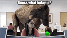 Hump Day Camel GIFs | Tenor