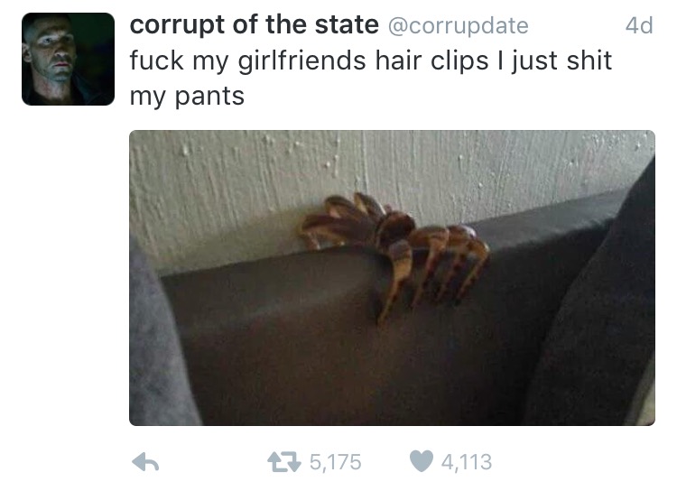 ZjDZtbW.jpg