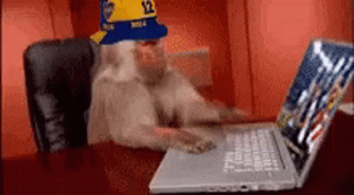 monkey-computer.gif