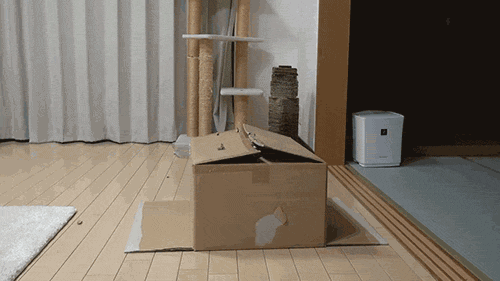 S4ntGBe.gif