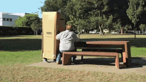 794VQn8.gif