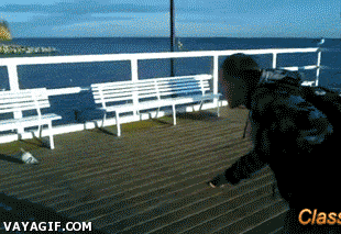 1Bl07cV.gif