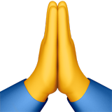 folded-hands_1f64f.png