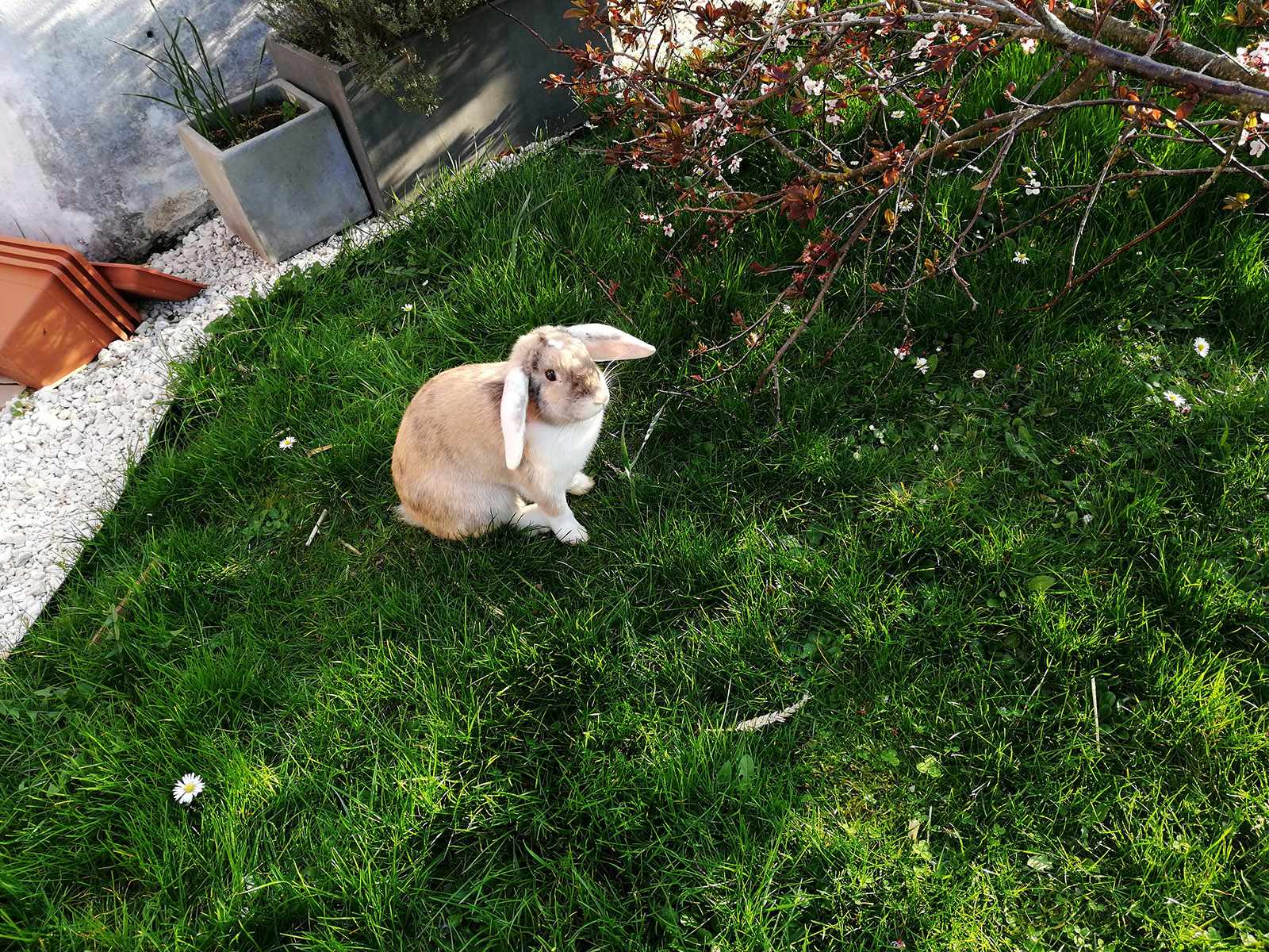 IMG-20190330-171940-W.jpg