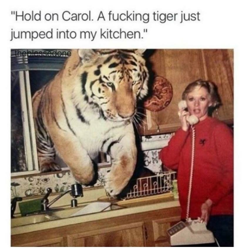 0lPEyXD.jpg