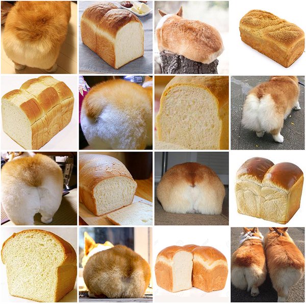 FTtFQus.jpg