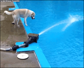 6hq9SQe.gif