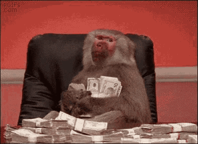 monkey-with-money-happy-withmoney.gif