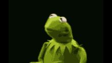 kermit-nod.gif