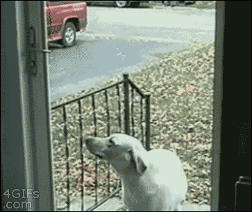 7n7w58M.gif