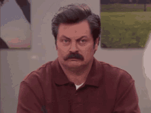 Ron Swanson GIFs | Tenor
