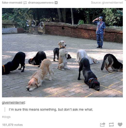 fnrLRpT.png