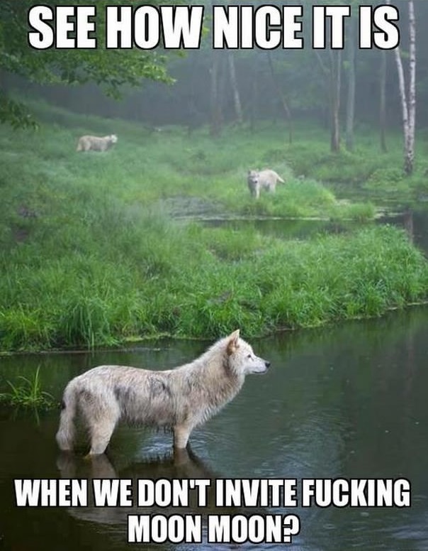 eYCiqvI.jpg