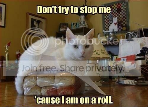 roll.jpg