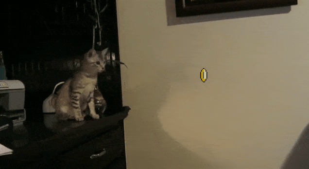JTf2Mk6.gif