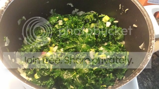 20170226_114647_zpshvxwynbq.jpg