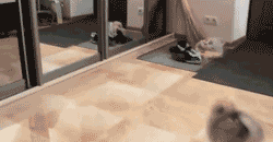 uQgYvz1.gif
