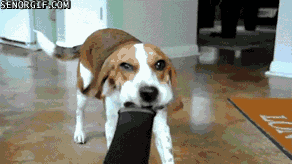 onK3IRl.gif