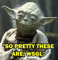 yoda1.jpg