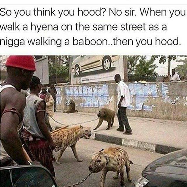 ivzbtwX.jpg