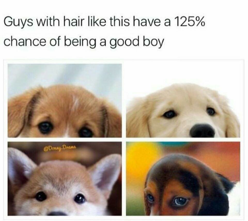 b8dD7qA.jpg